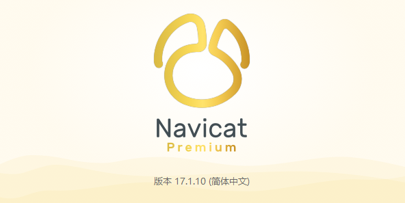 Navicat premium17