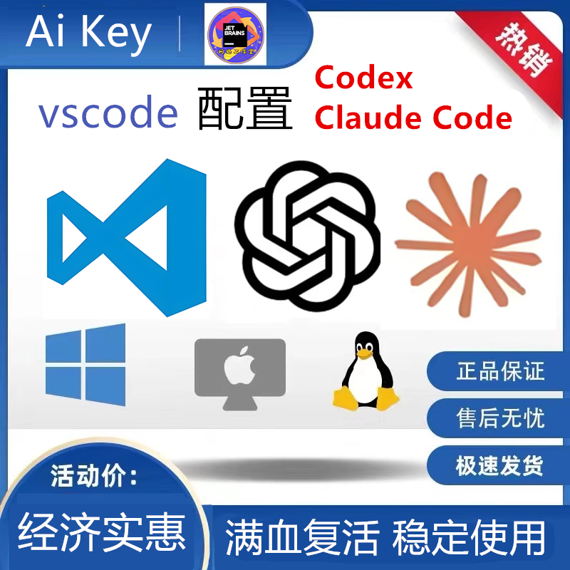 vscode 配置api key 使用cline ，roocode 等Ai插件